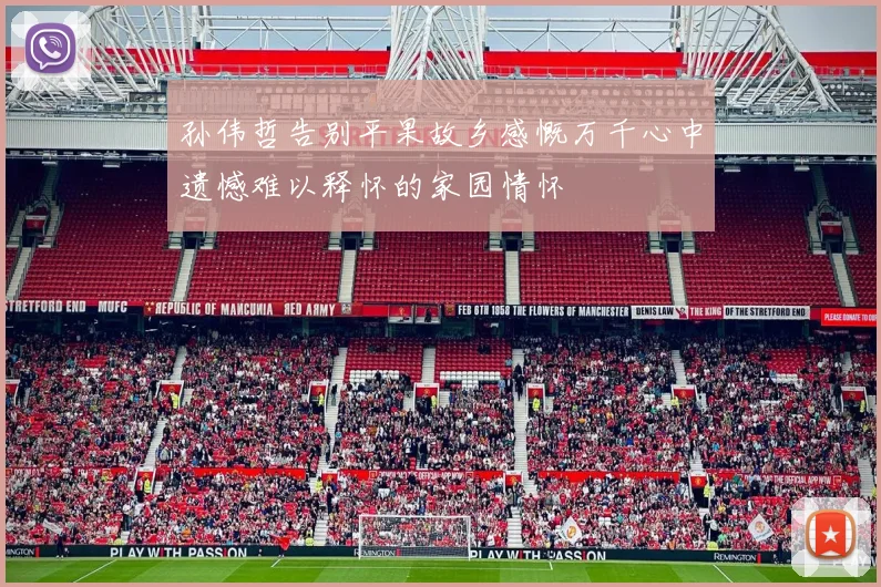 孙伟哲告别平果故乡感慨万千心中遗憾难以释怀的家园情怀