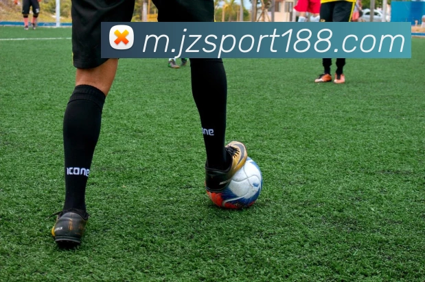 九州体育平台生态图